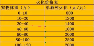 适合一二线城市赚钱的冷门项目