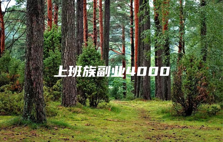 上班族副业4000