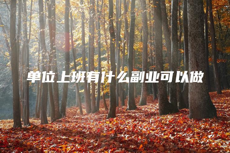 单位上班有什么副业可以做