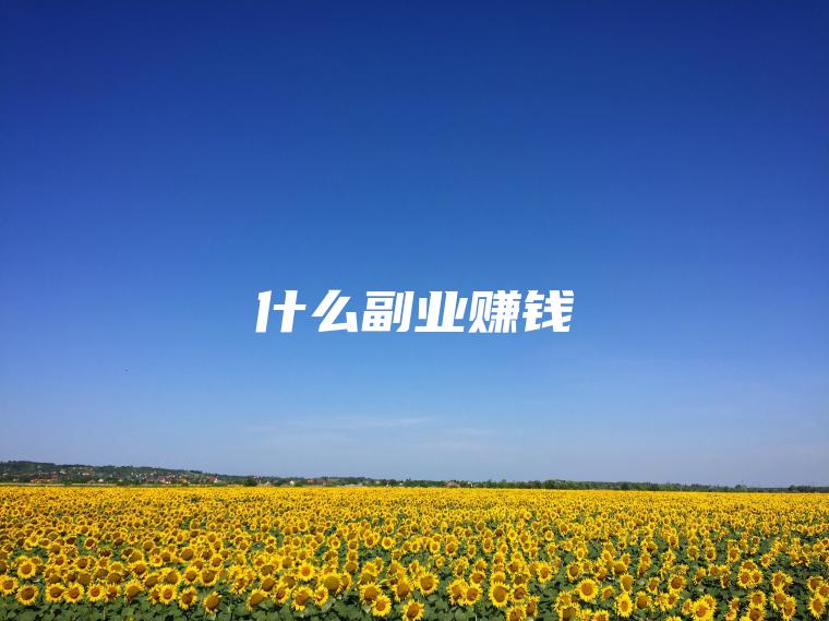 什么副业赚钱