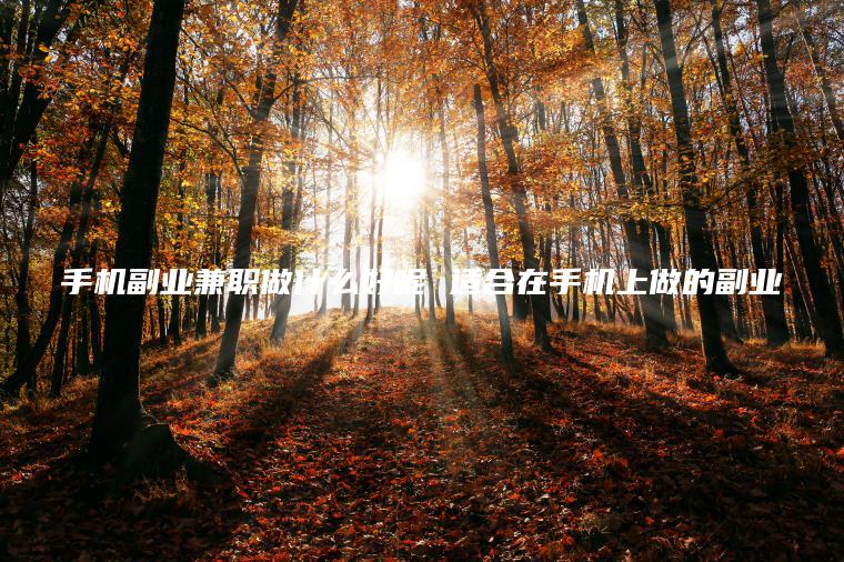 手机副业*做什么好呢 适合在手机上做的副业