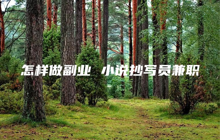 怎样做副业 *抄写员*