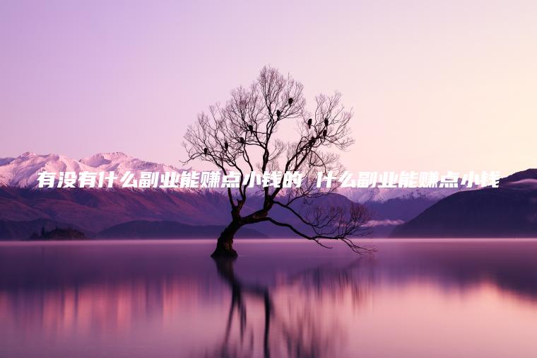 有没有什么副业能赚点小钱的 什么副业能赚点小钱