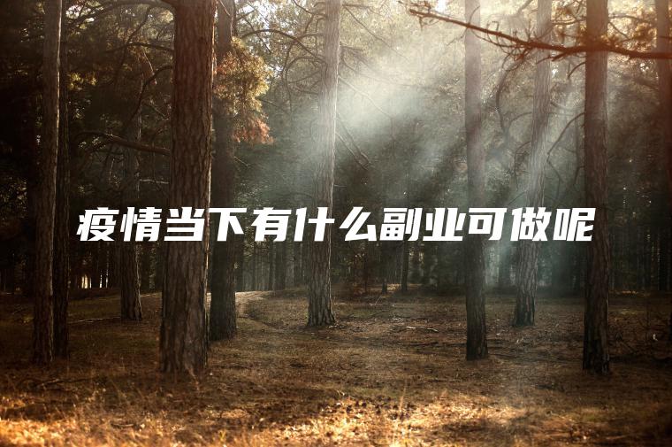 怡情当下有什么副业可做呢