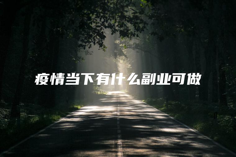 怡情当下有什么副业可做