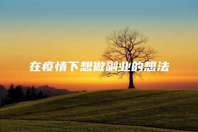 在怡情下想做副业的想法