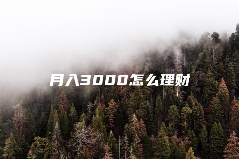 月入3000怎么理财