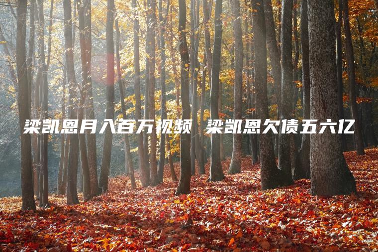 梁凯恩月入百万* 梁凯恩欠债五六亿