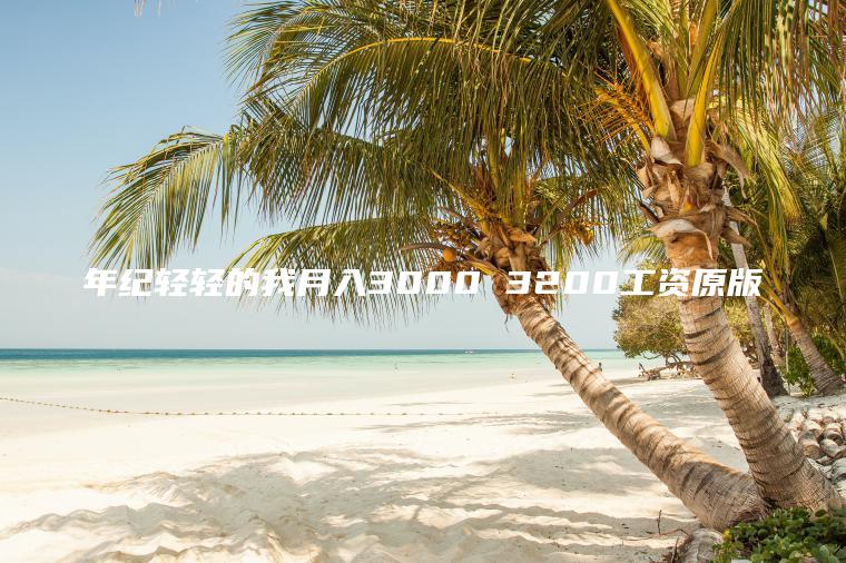 年纪轻轻的我月入3000 3200工资原版