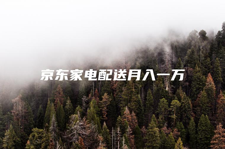 京东家电配送月入一万