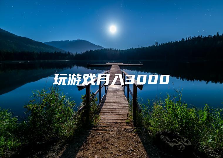 玩游戏月入3000