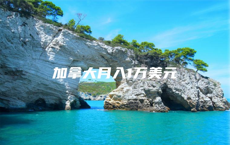 加拿大月入1万美元
