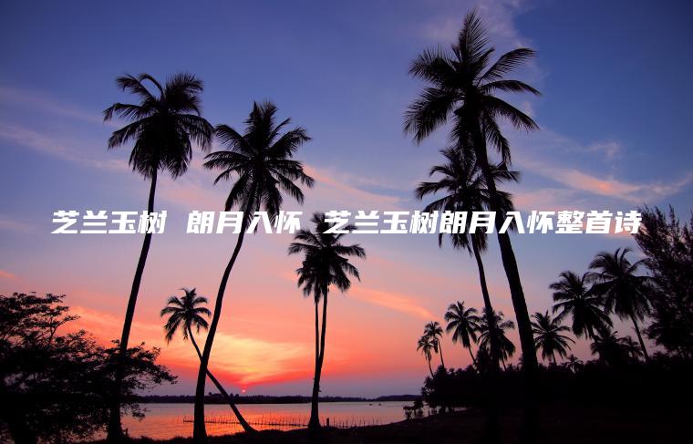芝兰玉树 朗月入怀 芝兰玉树朗月入怀整首诗