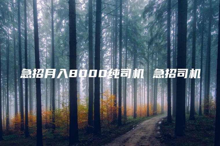 急招月入8000纯司机 急招司机