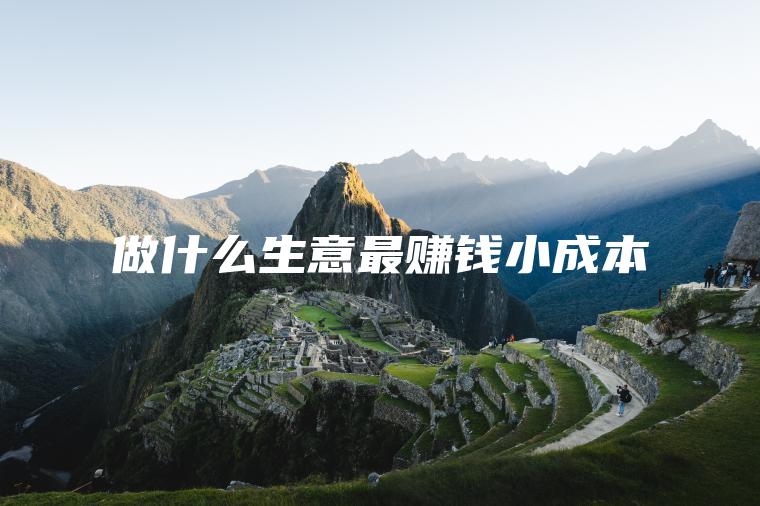 做什么生意最赚钱小成本