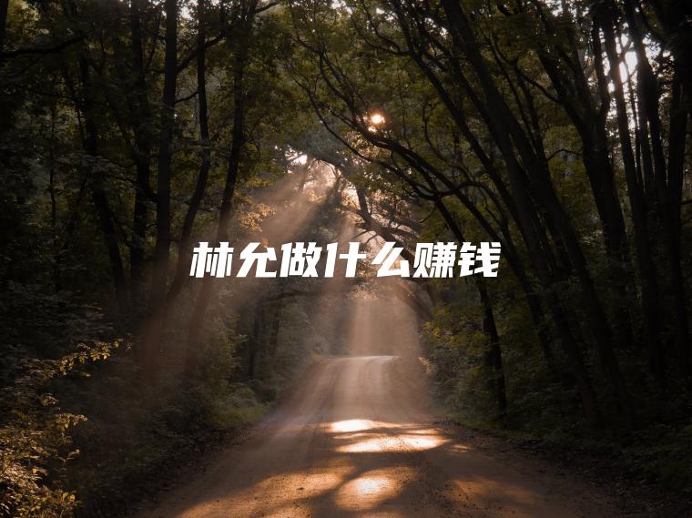 林允做什么赚钱