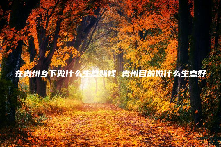 在贵州乡下做什么生意赚钱 贵州目前做什么生意好