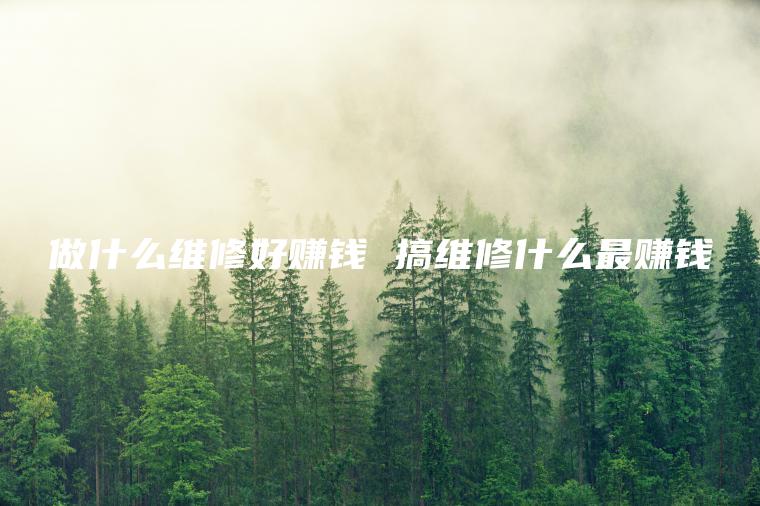 做什么维修好赚钱 搞维修什么最赚钱