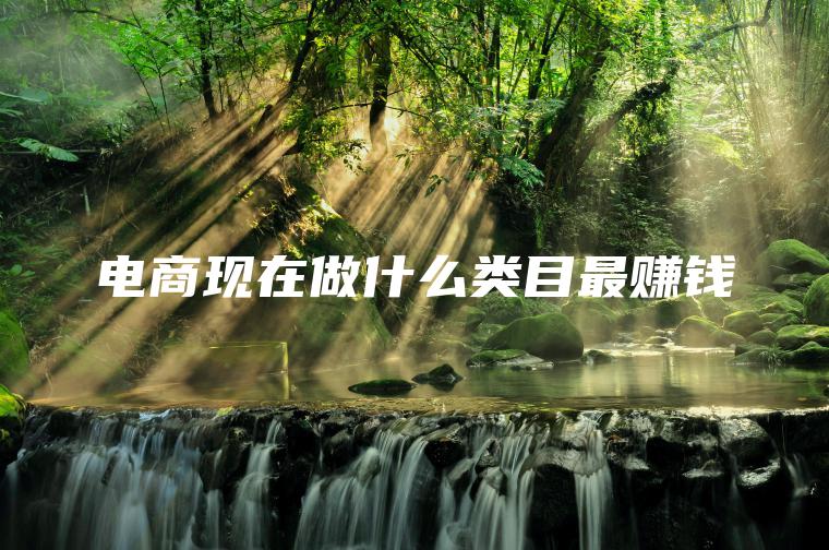 电商现在做什么类目最赚钱