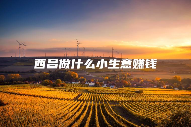 西昌做什么小生意赚钱