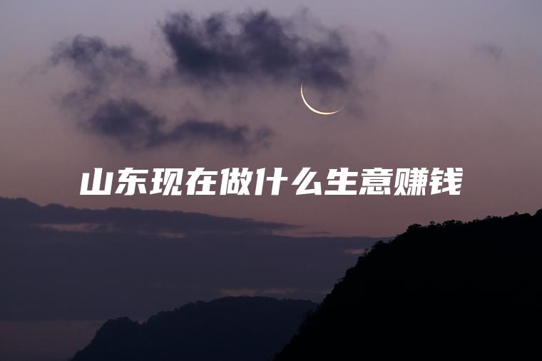 山东现在做什么生意赚钱