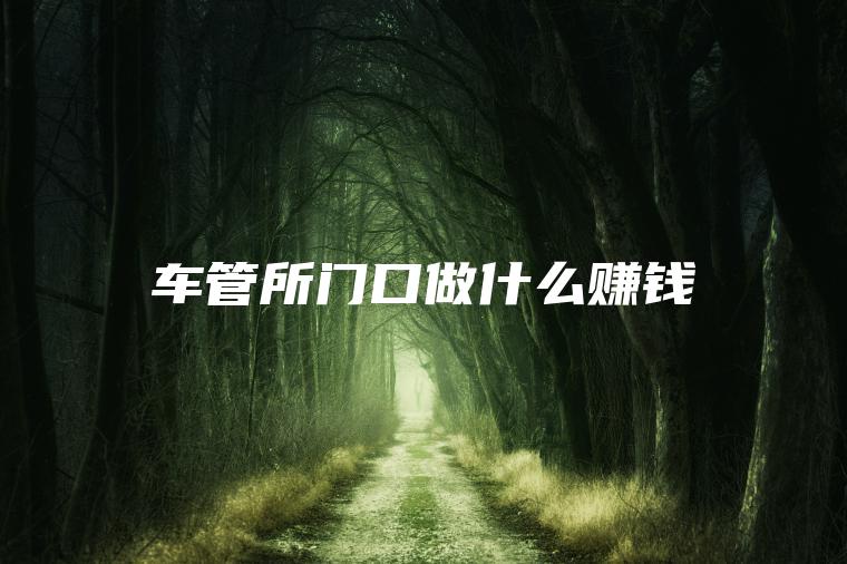 车管所门口做什么赚钱