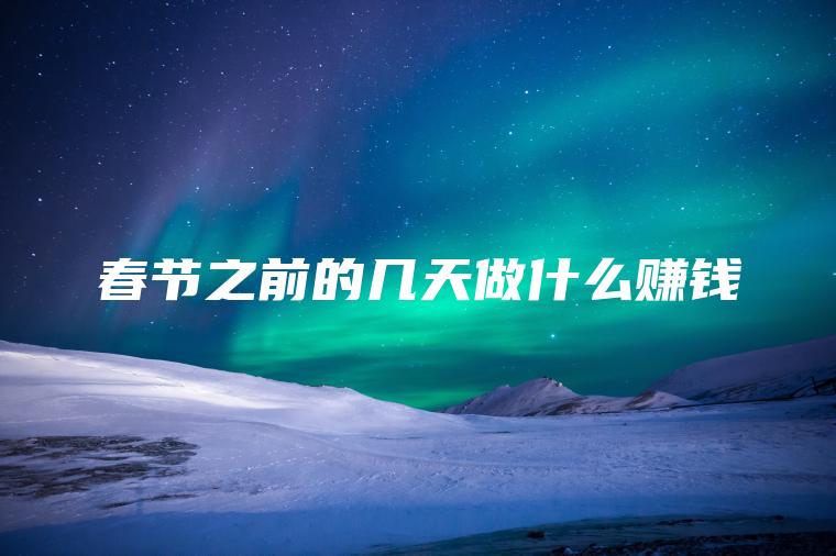 春节之前的几天做什么赚钱