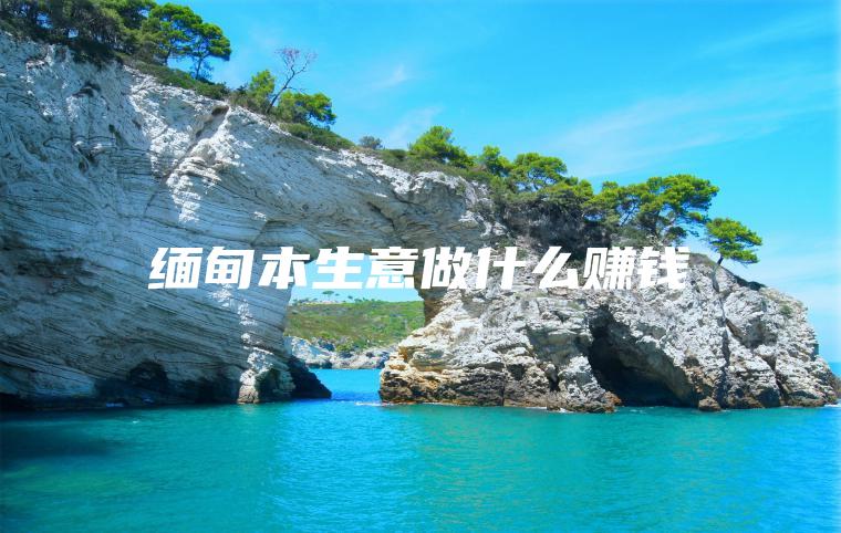 缅甸本生意做什么赚钱