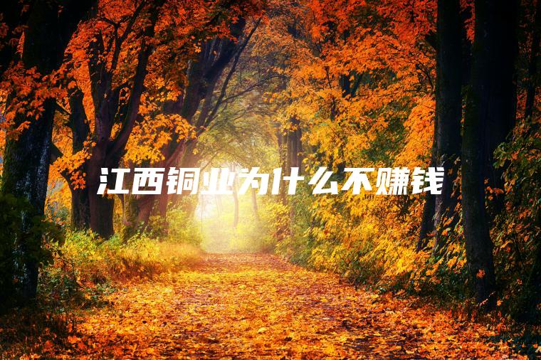 江西铜业为什么不赚钱