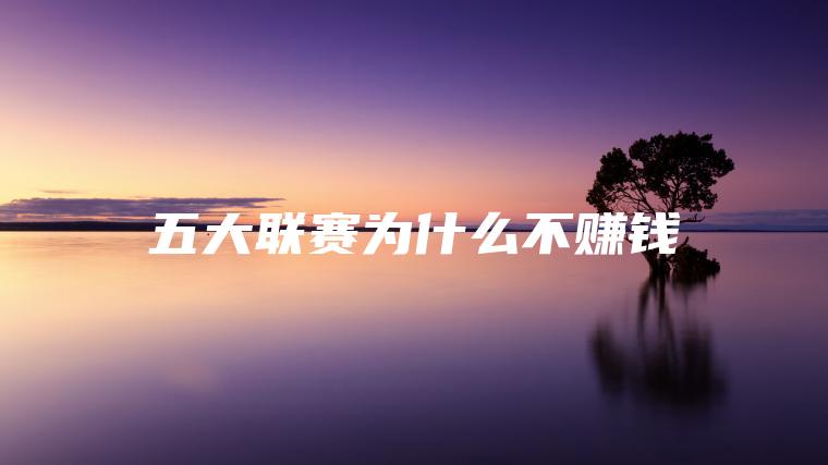 五大联赛为什么不赚钱