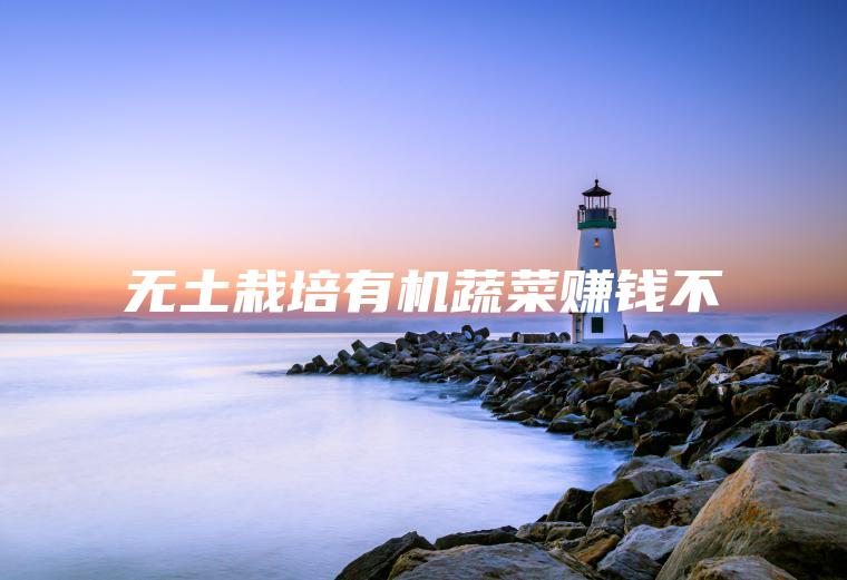 无土栽培有机蔬菜赚钱不