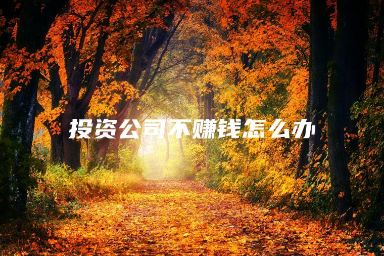 投资公司不赚钱怎么办