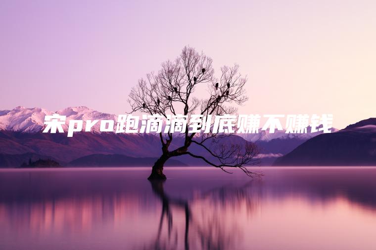 宋pro跑滴滴到底赚不赚钱