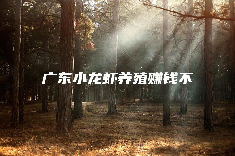 广东小龙虾养殖赚钱不