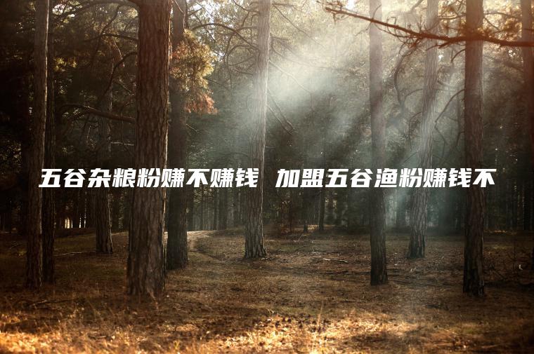 五谷杂粮粉赚不赚钱 加盟五谷渔粉赚钱不