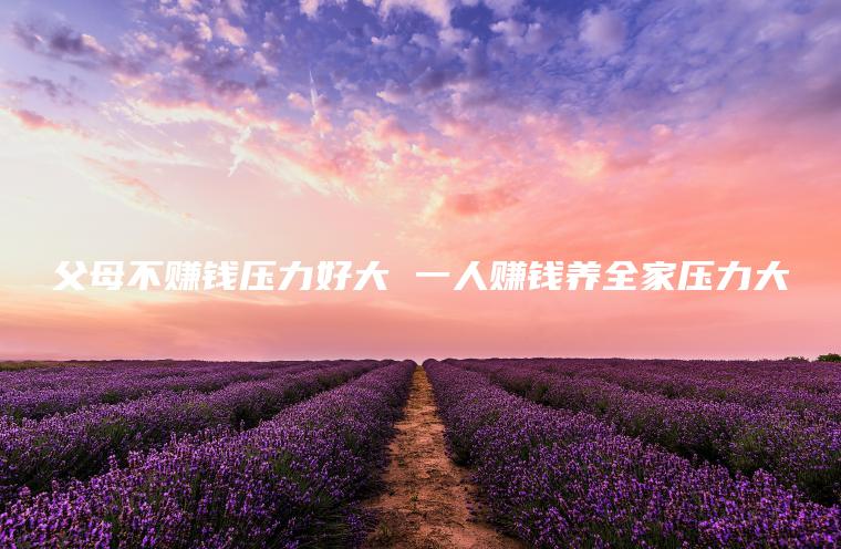 父母不赚钱压力好大 一人赚钱养全家压力大