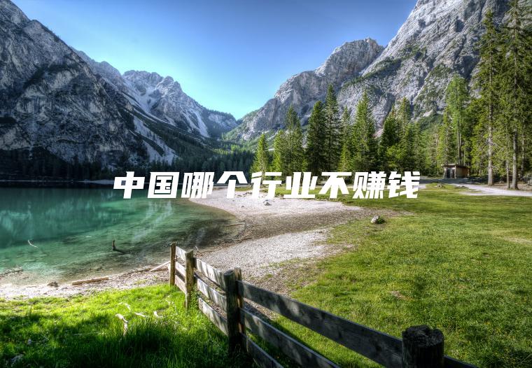 中国哪个行业不赚钱