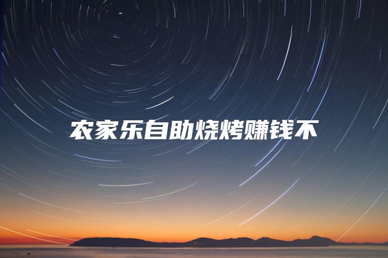 农家乐自助烧烤赚钱不