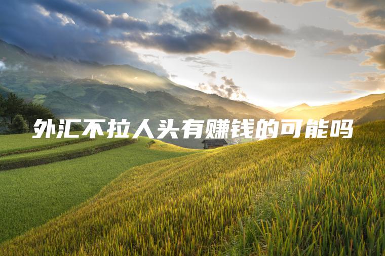 外汇不拉人头有赚钱的可能吗