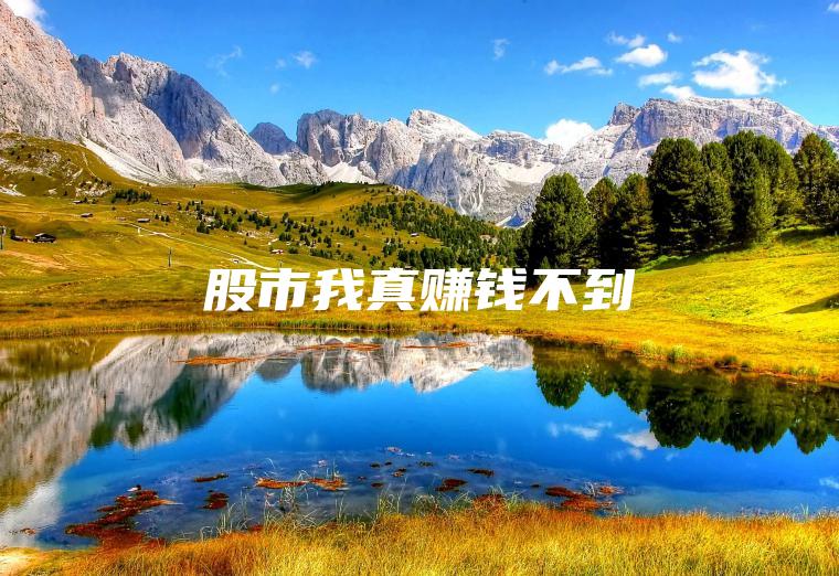股市我真赚钱不到