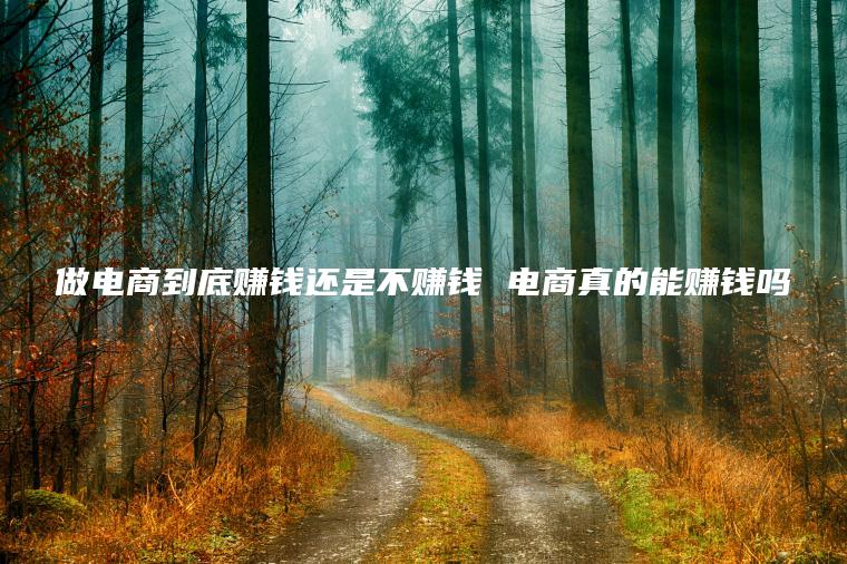 做电商到底赚钱还是不赚钱 电商真的能赚钱吗
