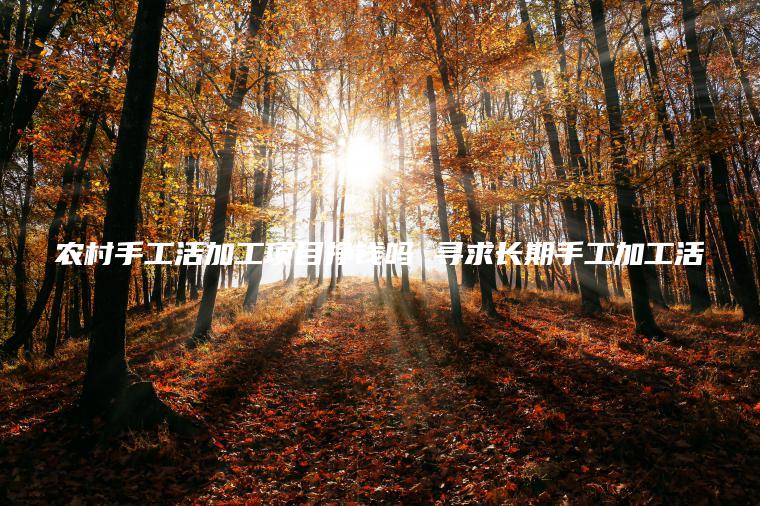 农村手工活加工项目挣钱吗 寻求长期手工加工活