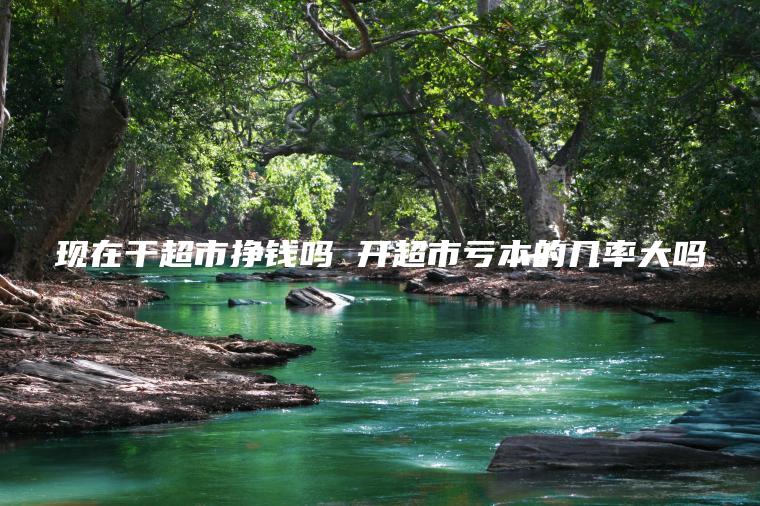现在干超市挣钱吗 开超市亏本的几率大吗