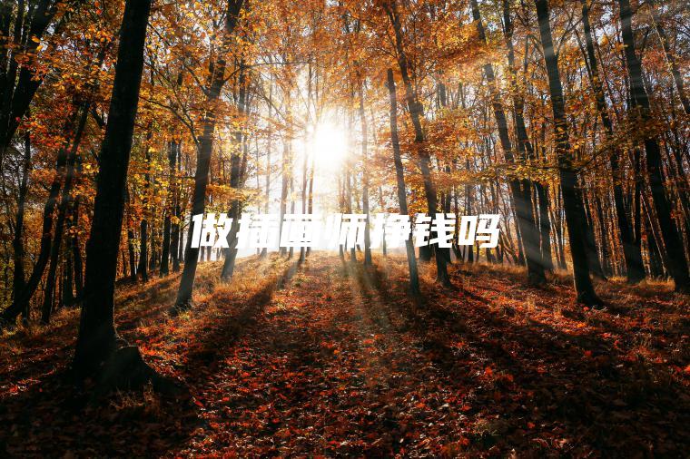 做插画师挣钱吗