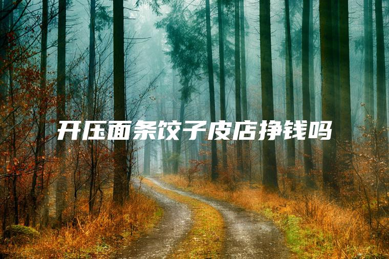 开压面条饺子皮店挣钱吗