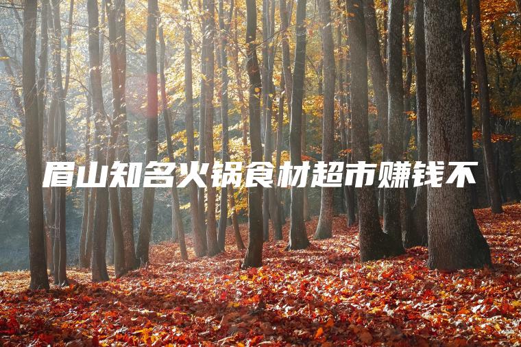 眉山知名火锅食材超市赚钱不