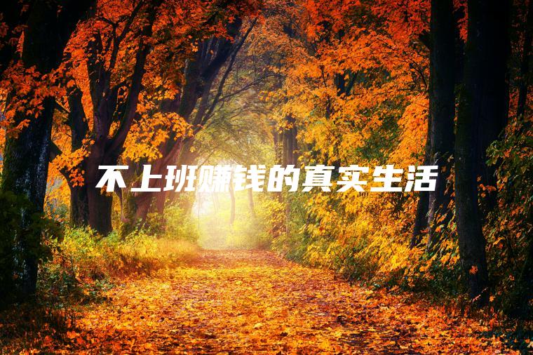 不上班赚钱的真实生活