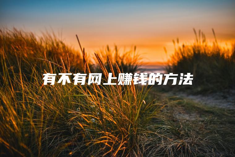 有不有网上赚钱的方法