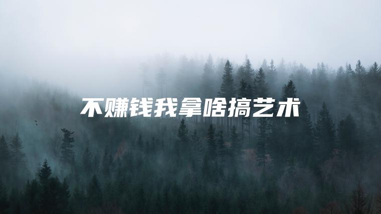 不赚钱我拿啥搞艺术