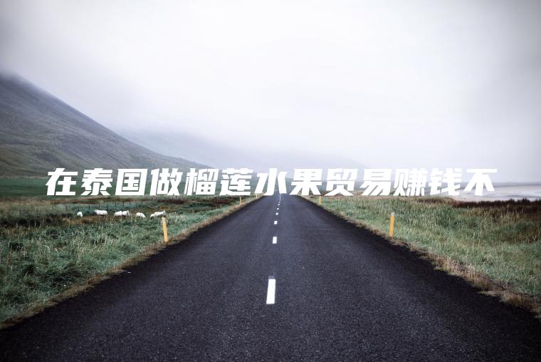 在泰国做榴莲水果贸易赚钱不
